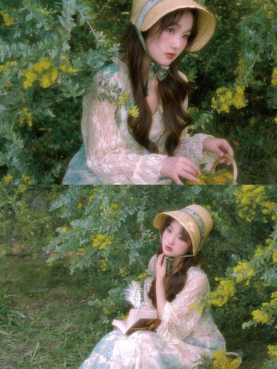重庆这里的金合欢明年还要去拍🌼🌼