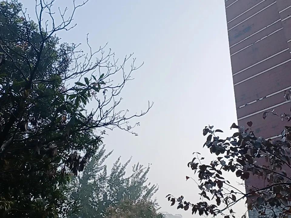 股市上涨→散户赚钱→四处得瑟→呼朋唤友→招蜂引蝶→新人取出储蓄存款→进场买股→股