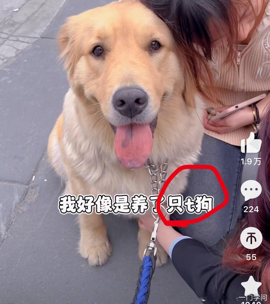 与其在雌性动物的行为举止与人类女性被驯化后的举止不符合并排斥异性的时候，仿佛天塌