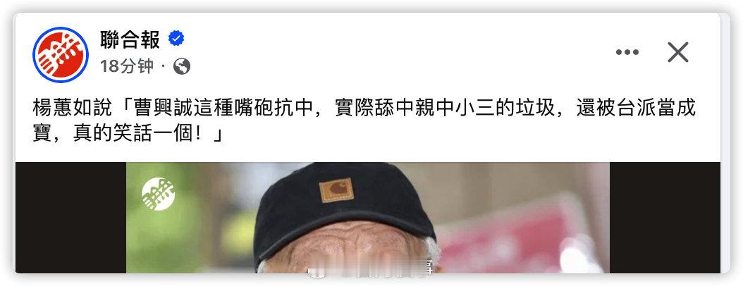 楊蕙如这个当年的民进党侧翼算是彻底醒悟了 