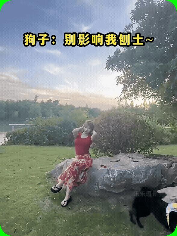 [狗头]狗：上一边臭美去，影响我刨土！
　　养狗的朋友说一下，狗一般在什么情况下