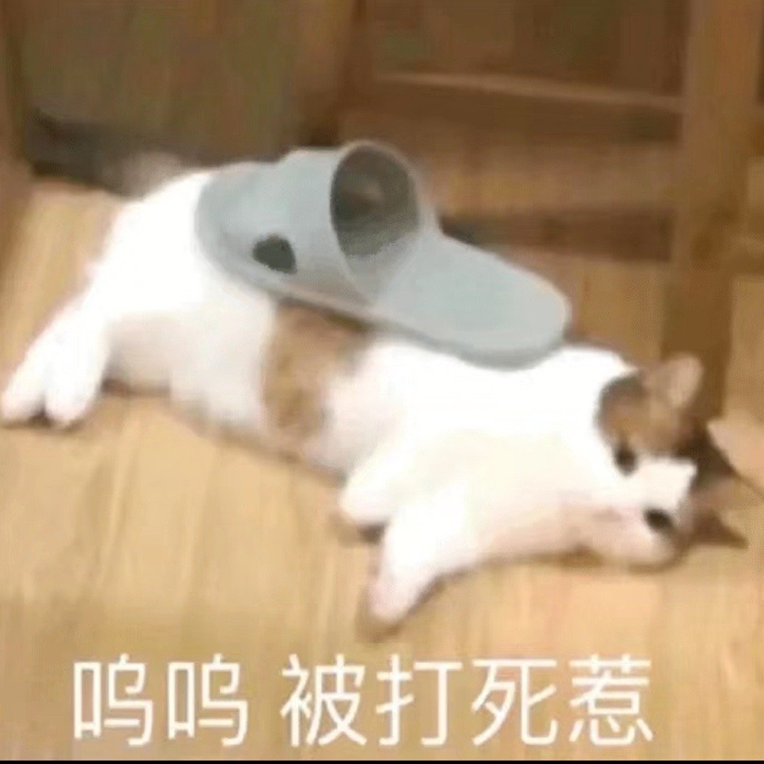 #日常的路人a# 有pr找A推内增高鞋，说可以先给A试穿。A：这个不用了，穿不了