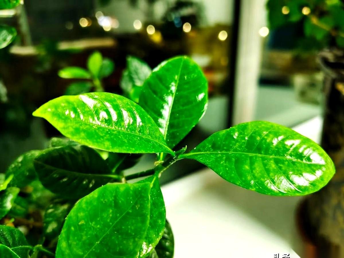 人这辈子，其实就是三次抽奖。
第一次，系统强制的，连抽奖按钮都不用你按。直接发到