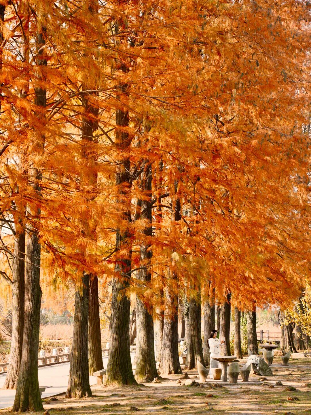 【破窗效应】小问题未处理会引发更大破坏
        “破窗效应”真的无处不在