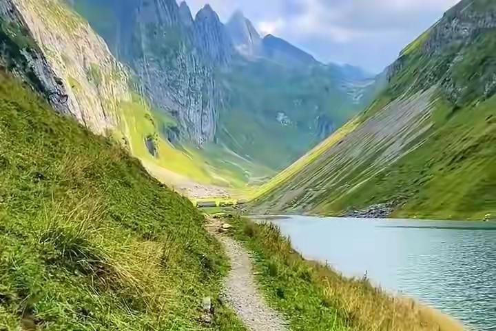一、鹧鸪天·迎夏

热浪初翻预盛时，流光溢彩映青枝。
千山叠翠华盖重，万木争荣不