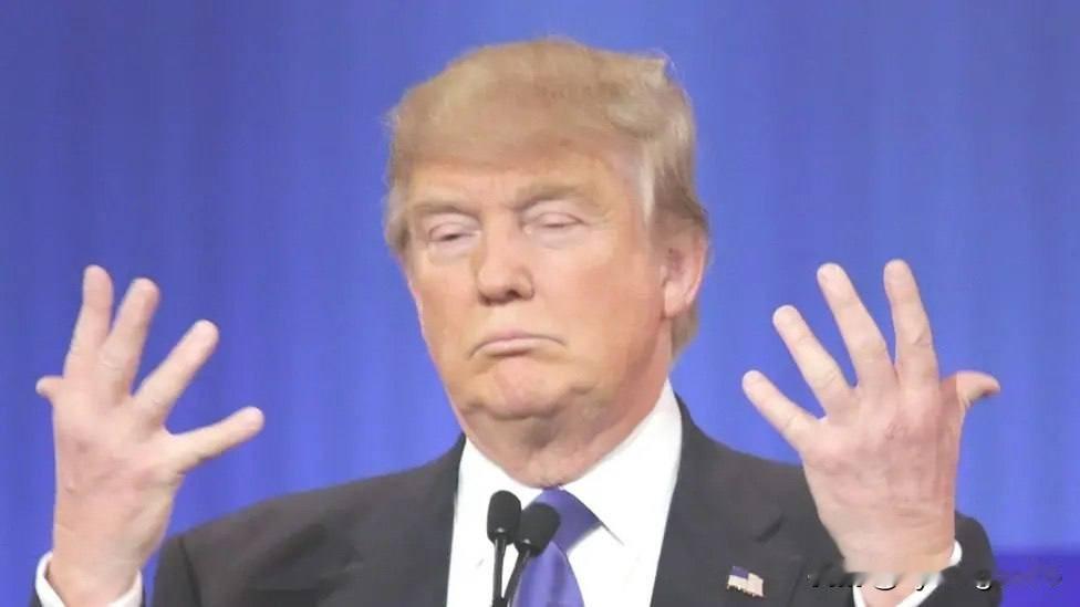 🇺🇸唐纳德·特朗普推出了他的“十大未来”计划，目标受众是12岁女孩。

这位