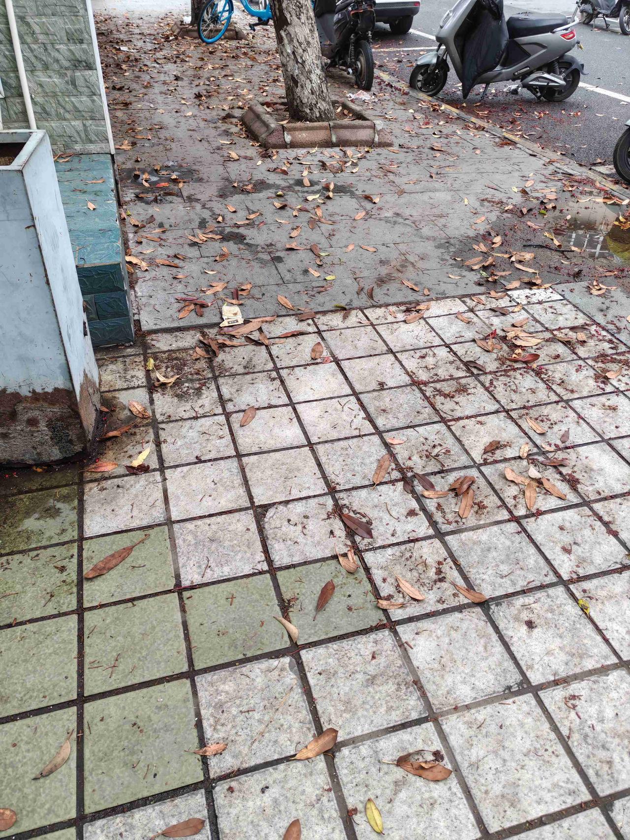 我的今日状态：😁轻松愉快
我这里的天气：🌤️多云
今天哪也没去，就出门随便逛