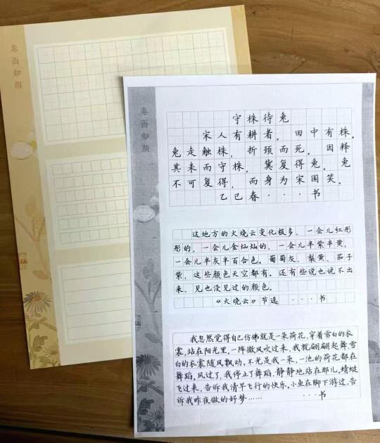 新款硬笔作品纸✊