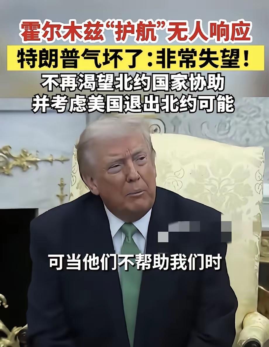 特朗普宣布，由于北约不参与美国组织的霍尔木兹海峡的护航活动，美国非常失望，不再渴