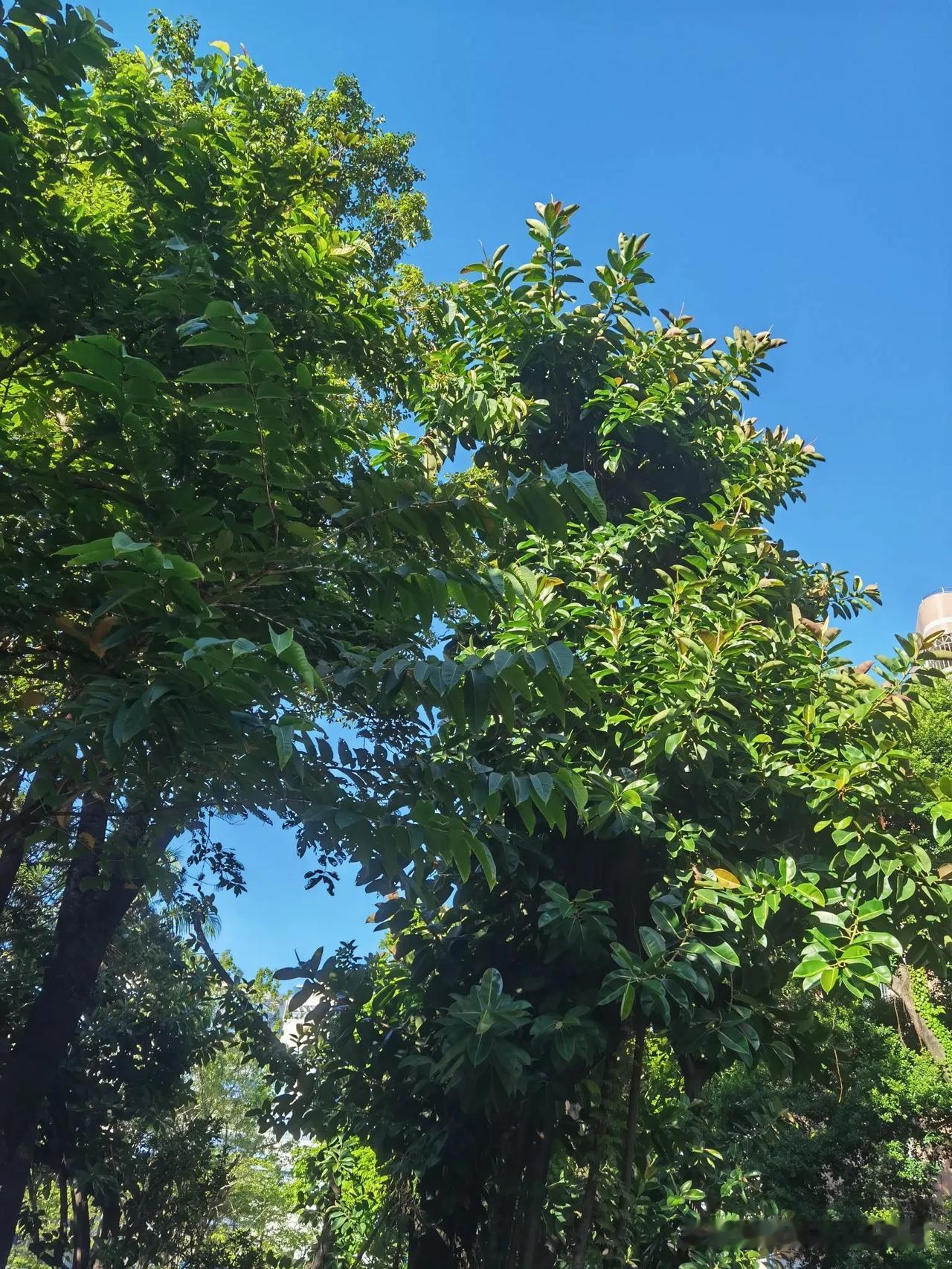 老伴儿，今天是你离开我的第九天，几天来，脑子是懵的，心是空的，身体是乏的，人是麻