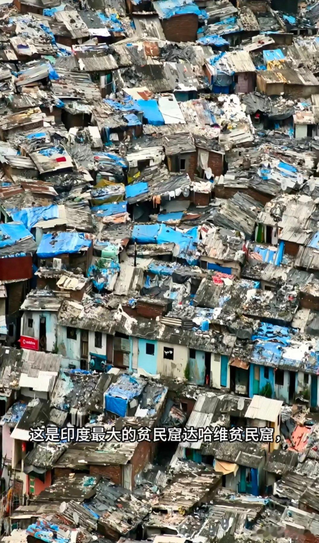 尼帕病毒感染死亡率可达40%以上印度这人口密度…有点什么传染的最快得亏基数大不然