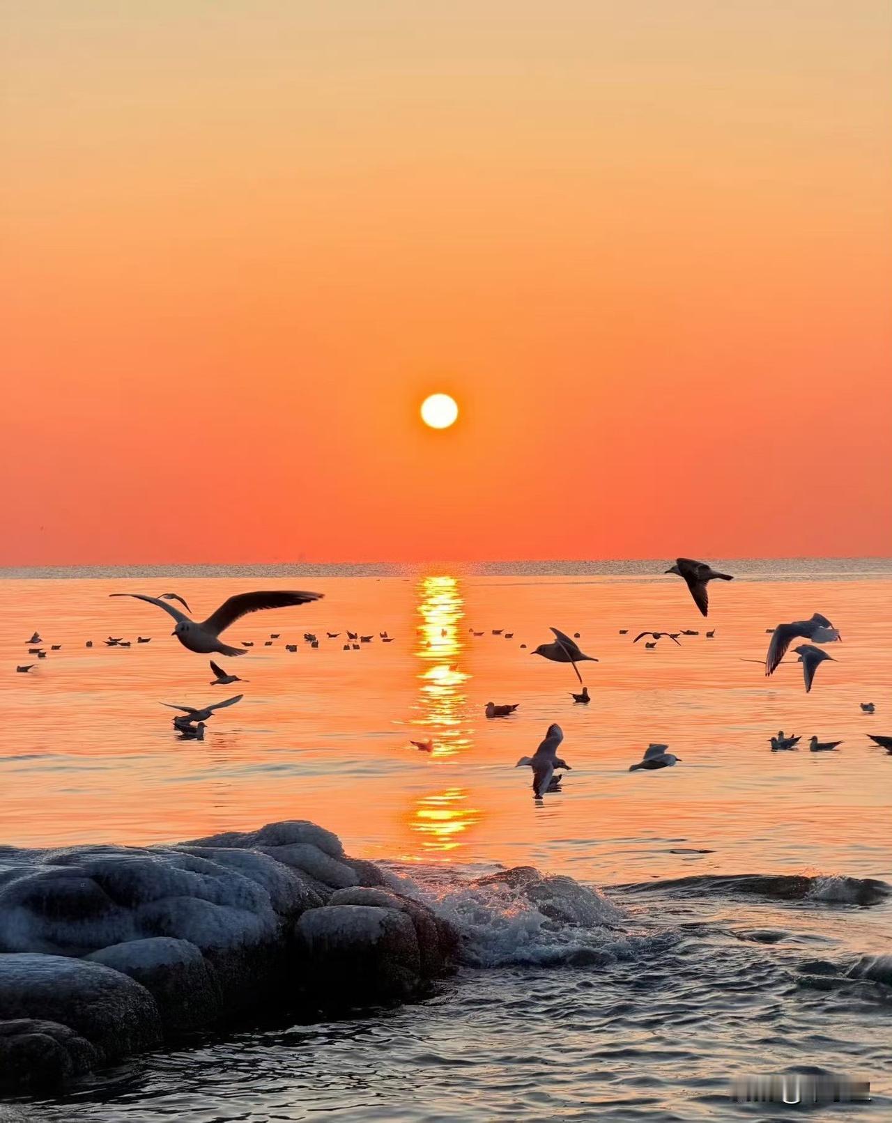 努力之后，顺其自然是明智的选择，
争取过后，随遇而安是最好的做法！
尽心了，就无