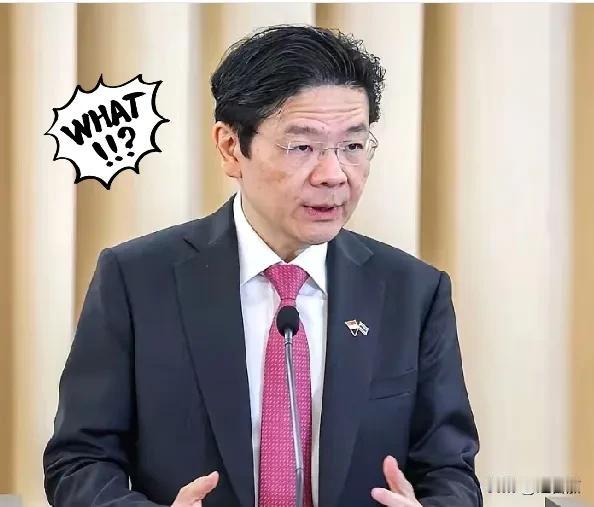 海南封关后，最慌的人现身！

新加坡总理彭博论坛脸色太真实。

看着黄循财在论坛