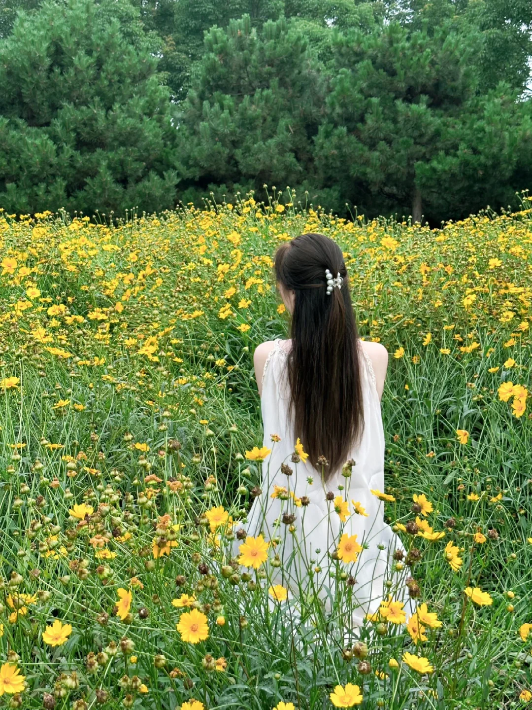 🌼故事的小黄花