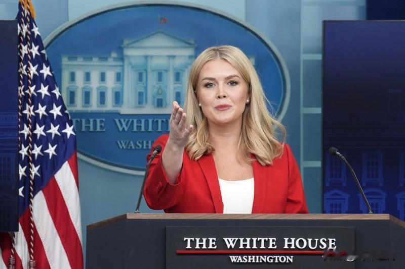 柯林斯：“既然总统说经济强劲，那他怎么会在圣诞节前两周告诉家长，只给孩子买两三件