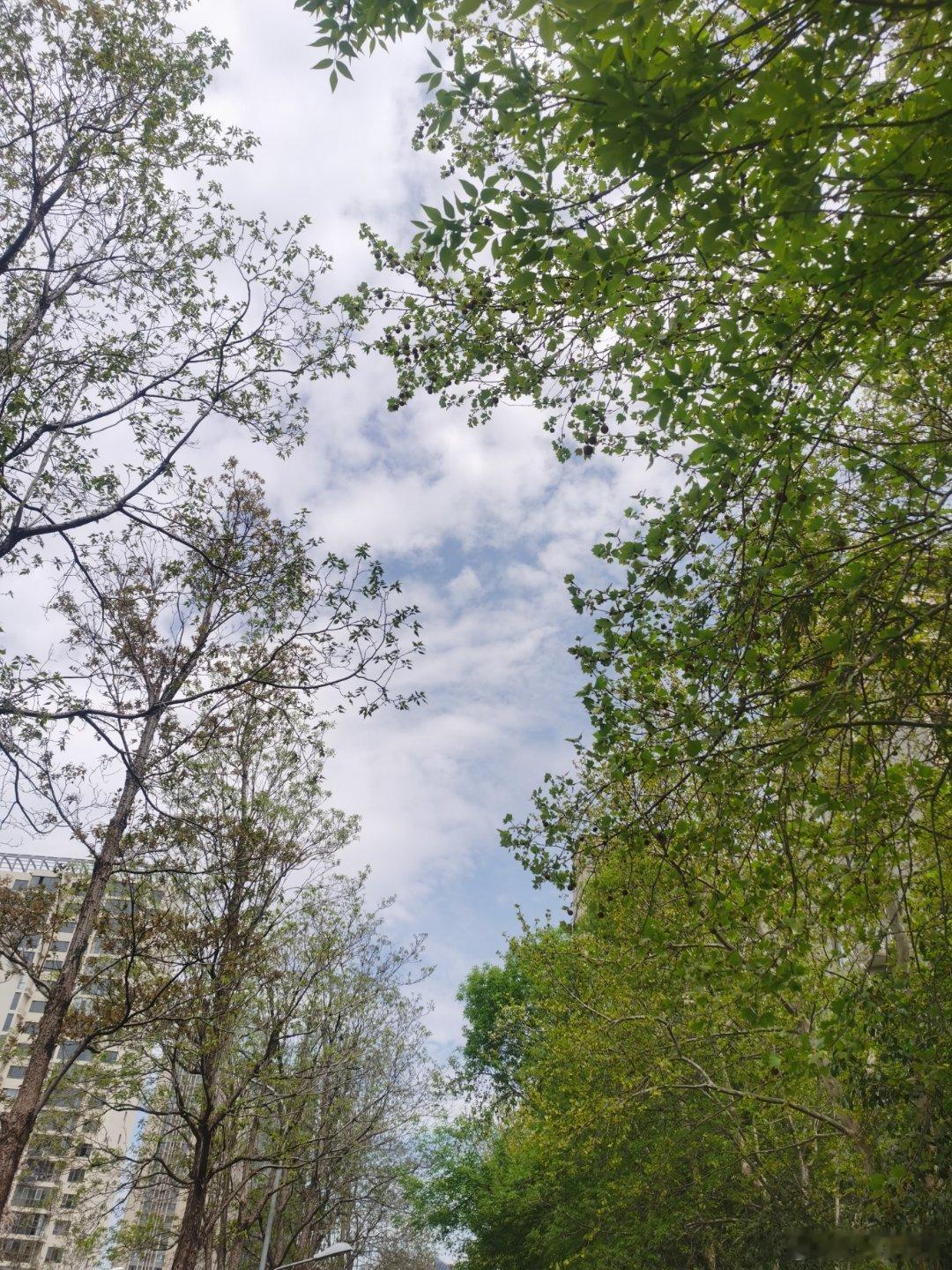 周二客场挑战天津，稍作改动即可。今晚山东泰山对阵天津津门虎，上一轮津门虎刚取得赛
