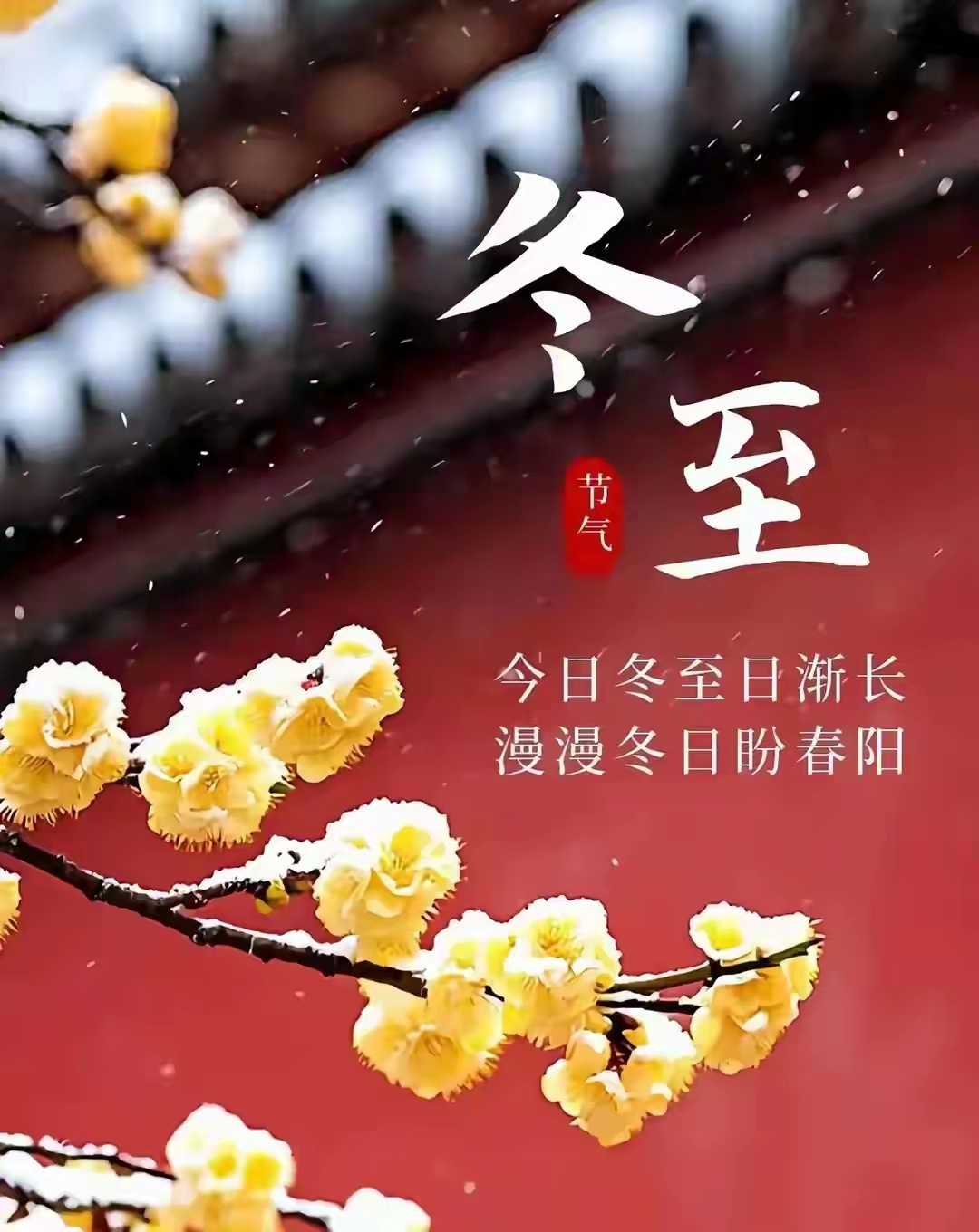冬至快乐幸福！[鲜花][心]🙏 
