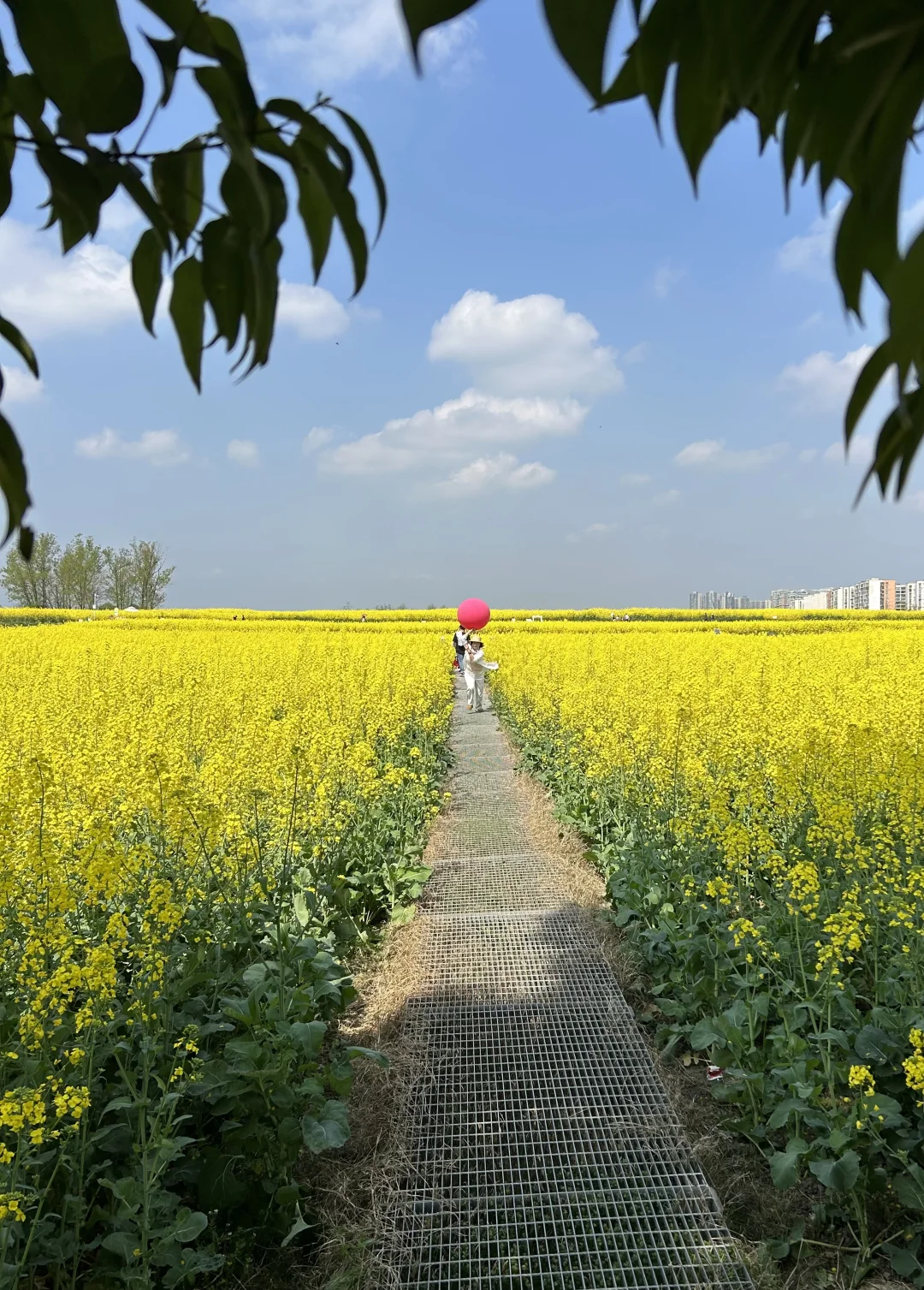 成都的审美，绝对在线！！！