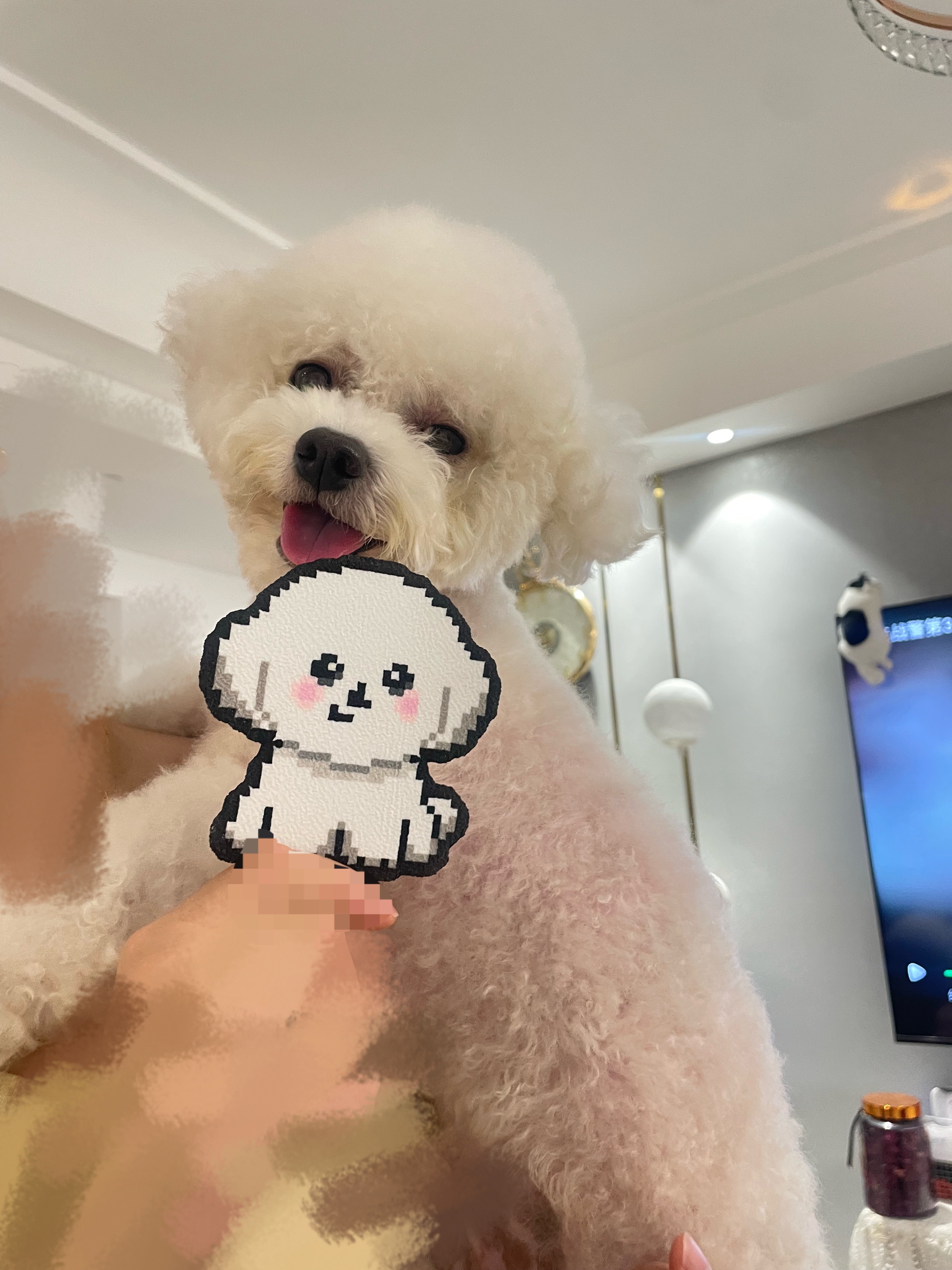 小狗和ta的拼豆🥰 