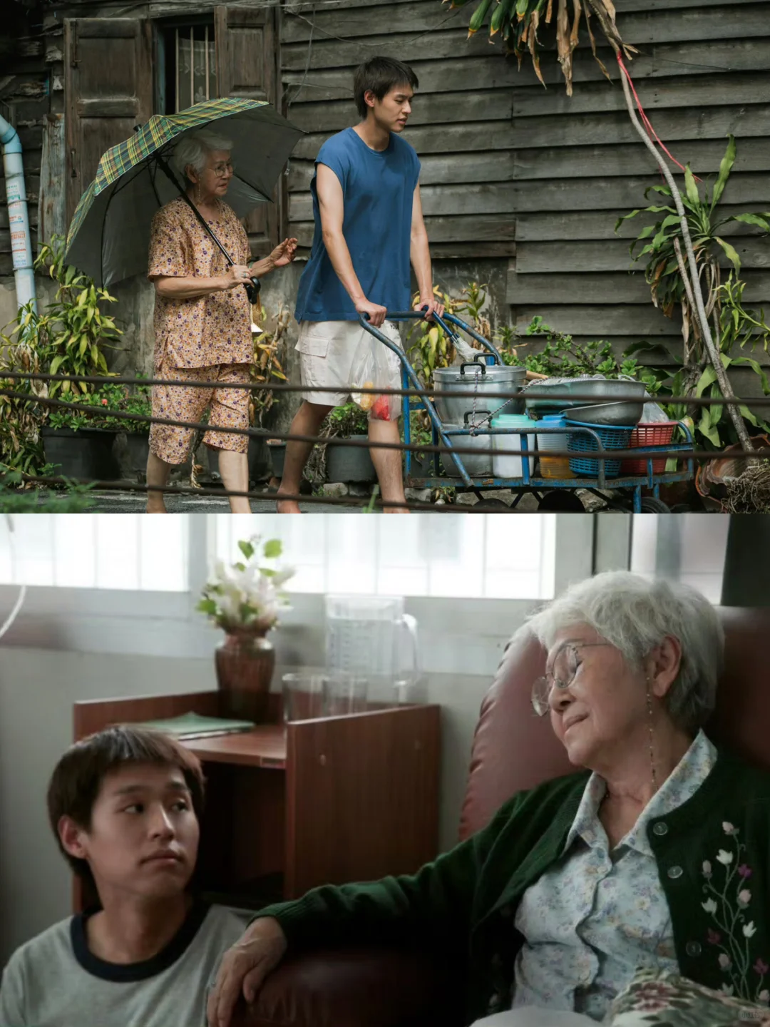 他来了他来了‼️《姥姥的外孙》终于来了‼️