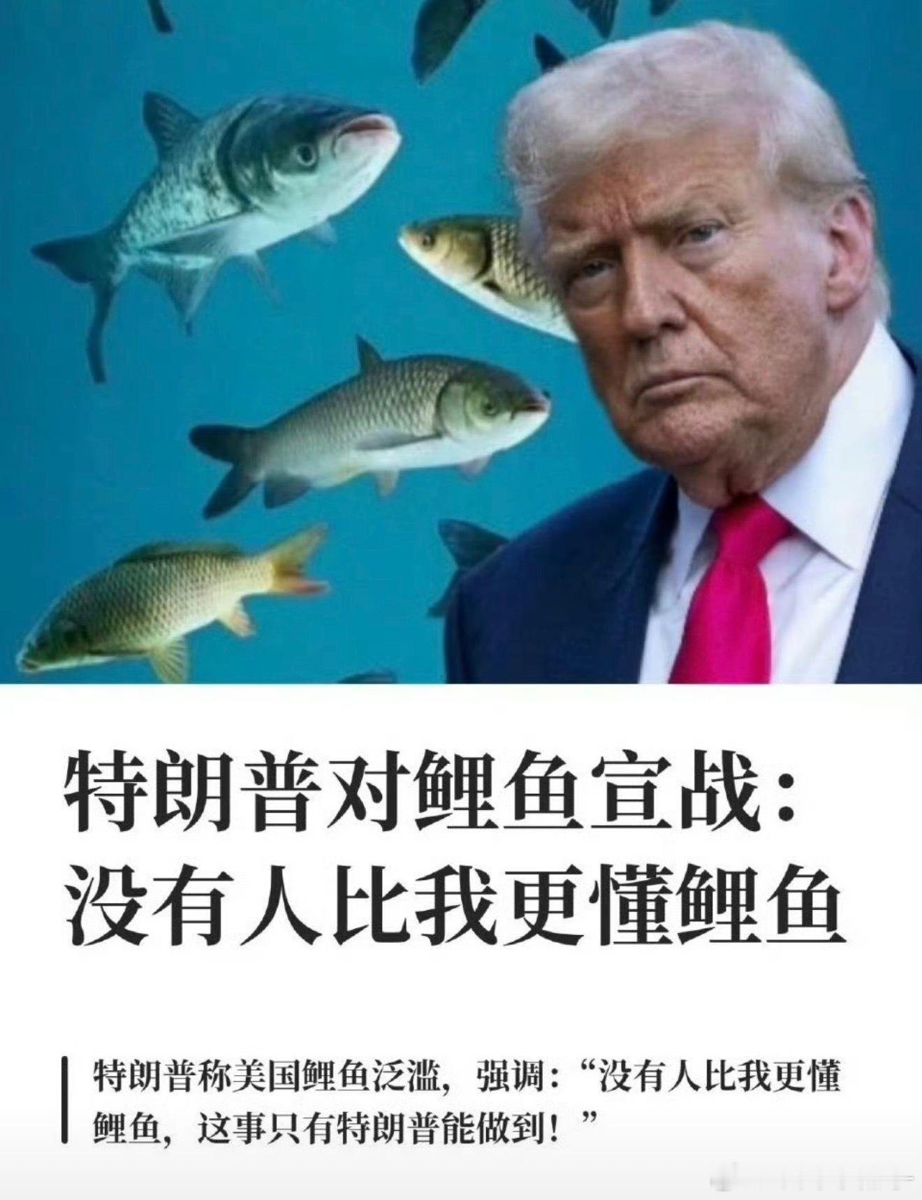 特朗普对鲤鱼宣战到要看看懂王有什么雷霆手段！