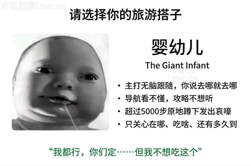请选择你的旅游搭子～ 