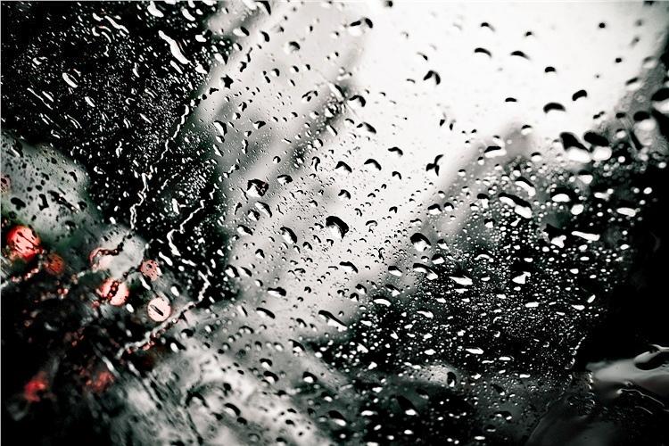 【原创作品】
 七绝•蓉城新霁
    文/张和平
昨夜西窗听雨匀，
朝来万木净