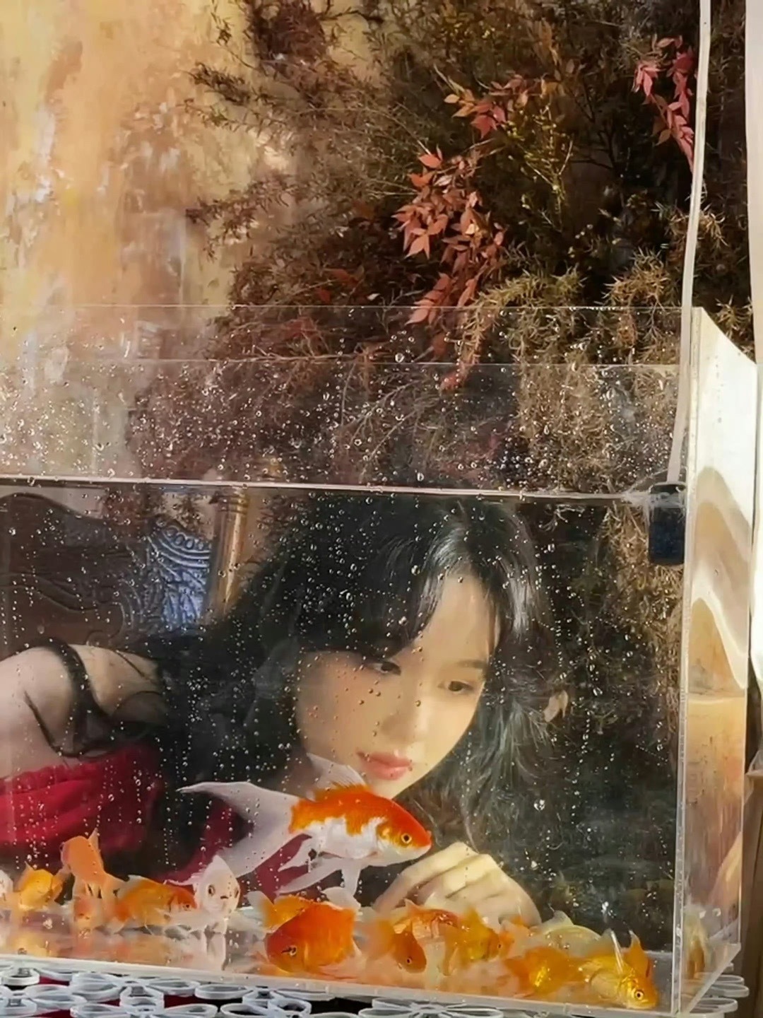 #陈都灵金鱼姬#下辈子能不能换我长这样[吹风车] ​​​