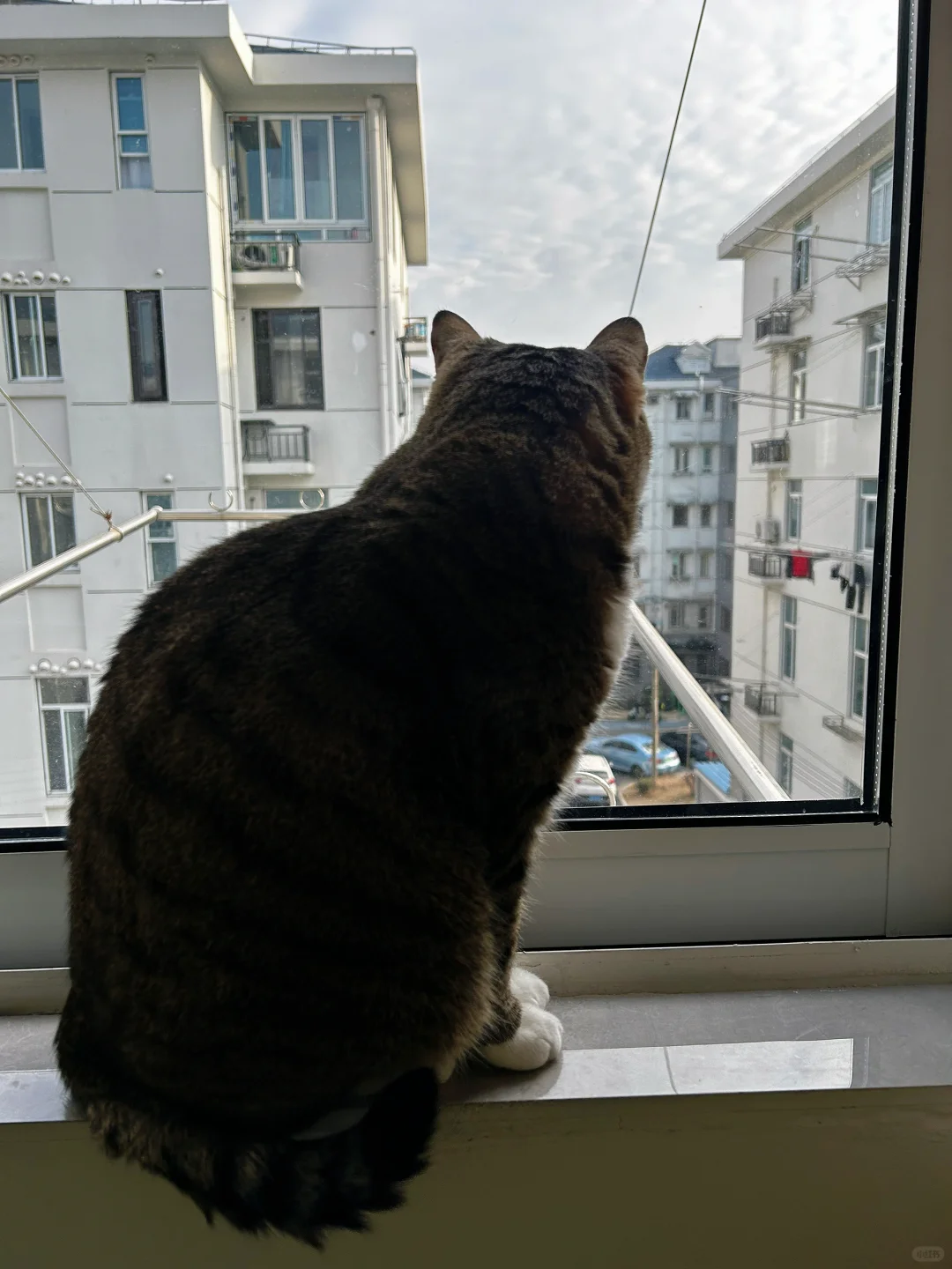 咦，楼下在吵吵啥呢