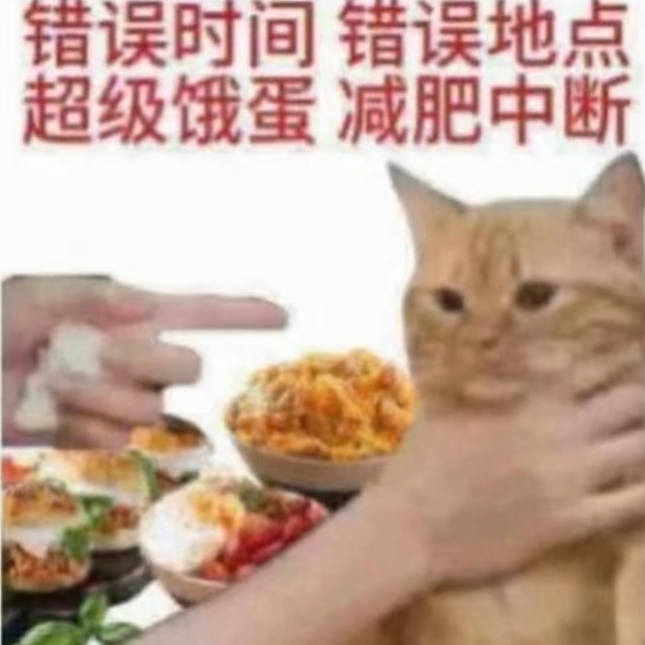 有点钱都炫嘴里了，原来这就是千金散尽还腹来 