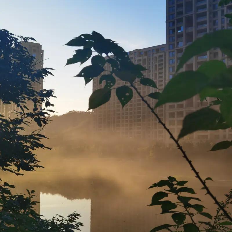 最近特意把起床闹钟往前调了20分钟，就为了蹭一蹭早晨出门那阵不粘人的清风。
楼下