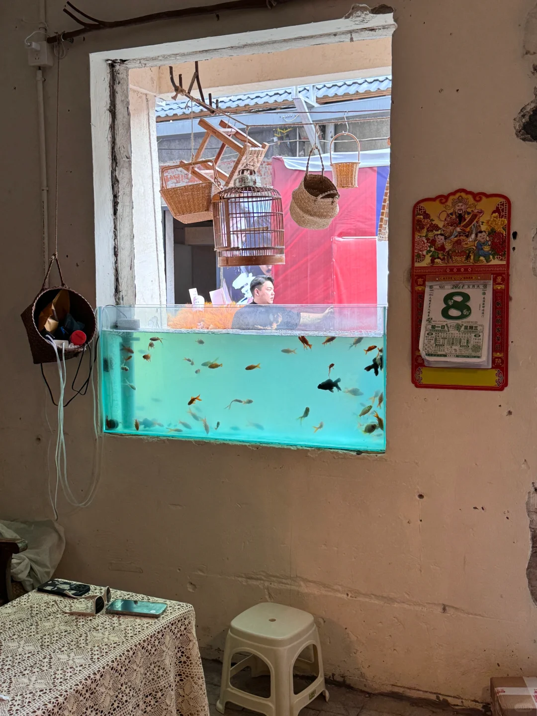 不在泰国！在杭州！这家咖啡店好chill…🐠