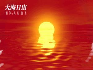 2025年照亮我的那束光 街头偶遇爷爷奶奶牵手散步的蹒跚背影，相濡以沫的陪伴胜过