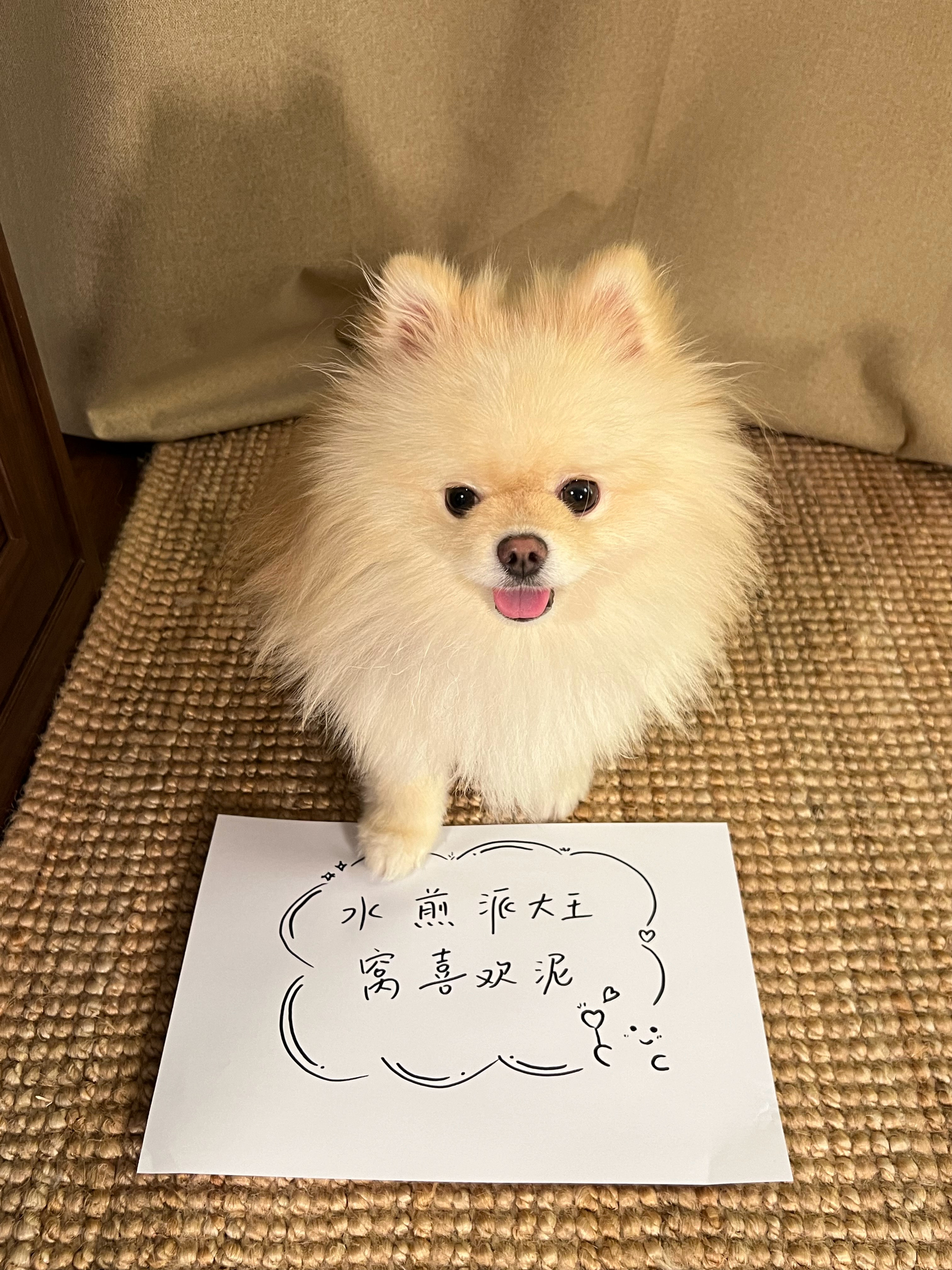 唉呀呀呀呀呀呀呀呀呀呀呀萌死我了呀！！ ​​​