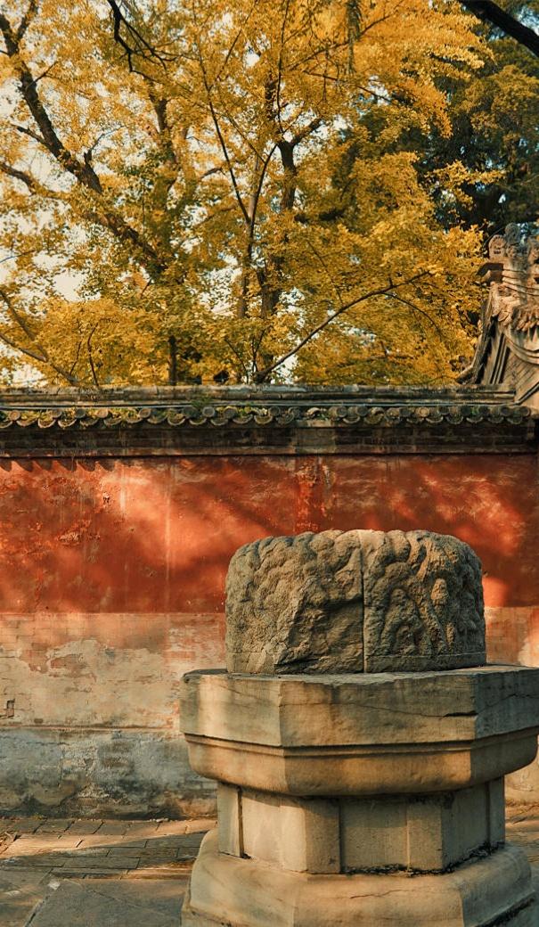 静，在心里，不在山水间。人生的幸福在于祥和，生命的祥和在于宁静，宁静的心境在于少