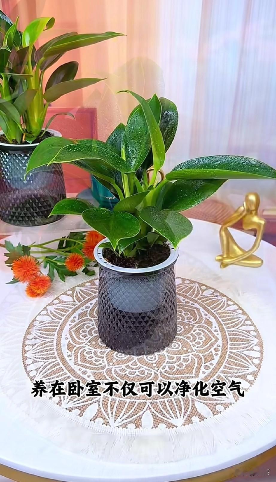 人太善良，真的很容易受委屈。
总是习惯性迁就别人，事事替别人着想，宁愿自己吃亏也