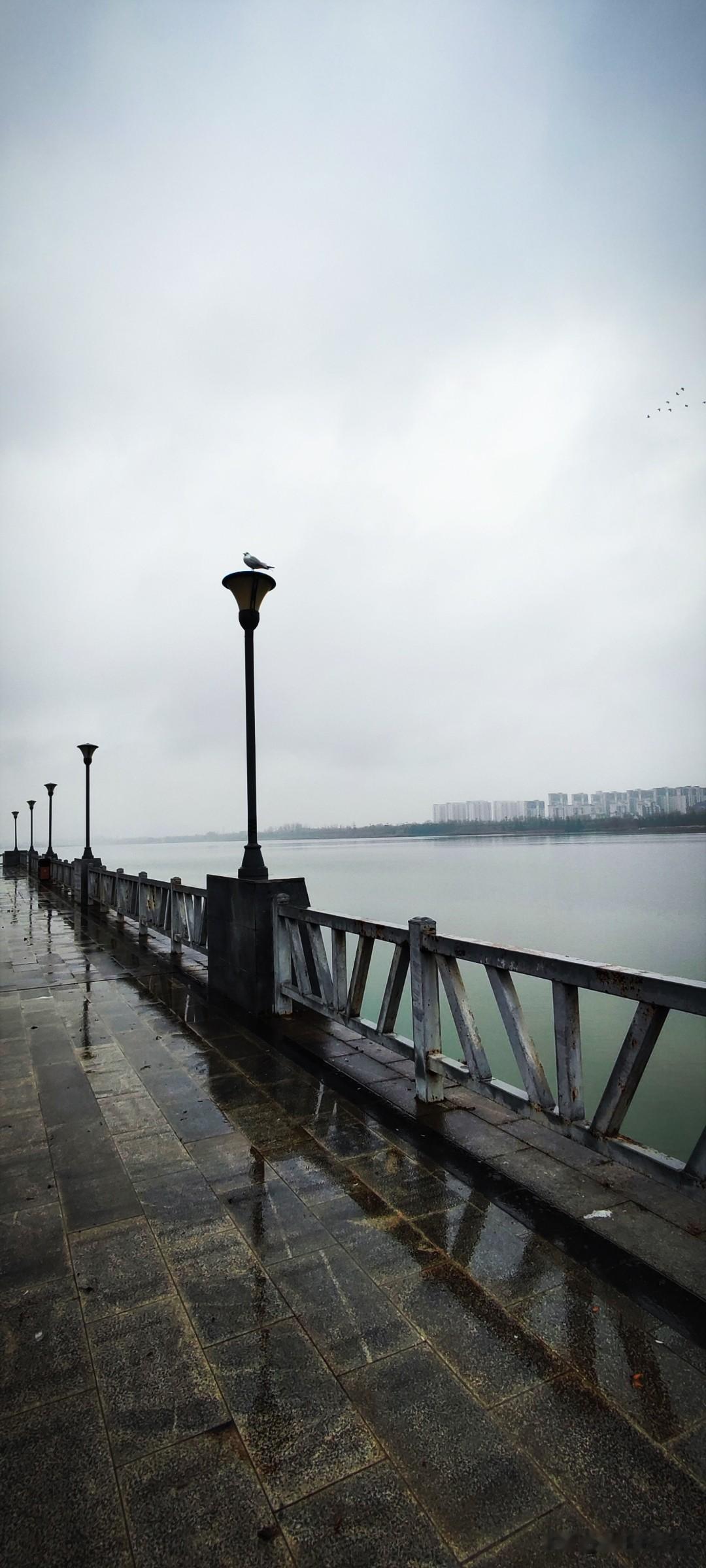 晒图笔记大赛随着冬雨和轻风飞飏，寒意用散落成组的动线，从披肩的这头落向那头。而飞