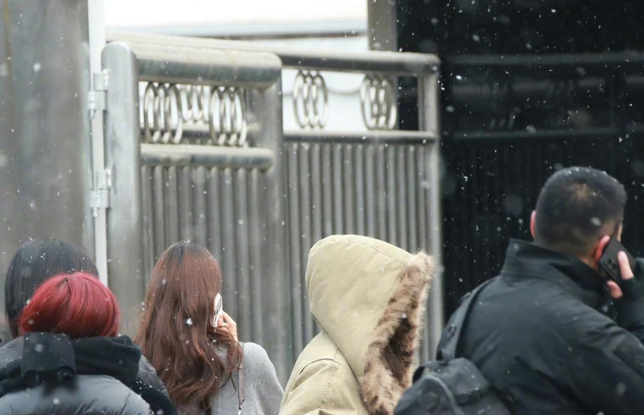 37位明星集结！白鹿踏雪赴2026央视春晚首排，沈马六搭演反诈
 
马年春晚终于