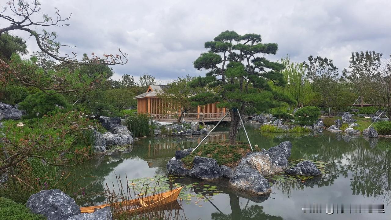 #秋日生活打卡季# 这几天都是时阴时雨的天气，工作日的上午趁着不下雨，主要还是趁