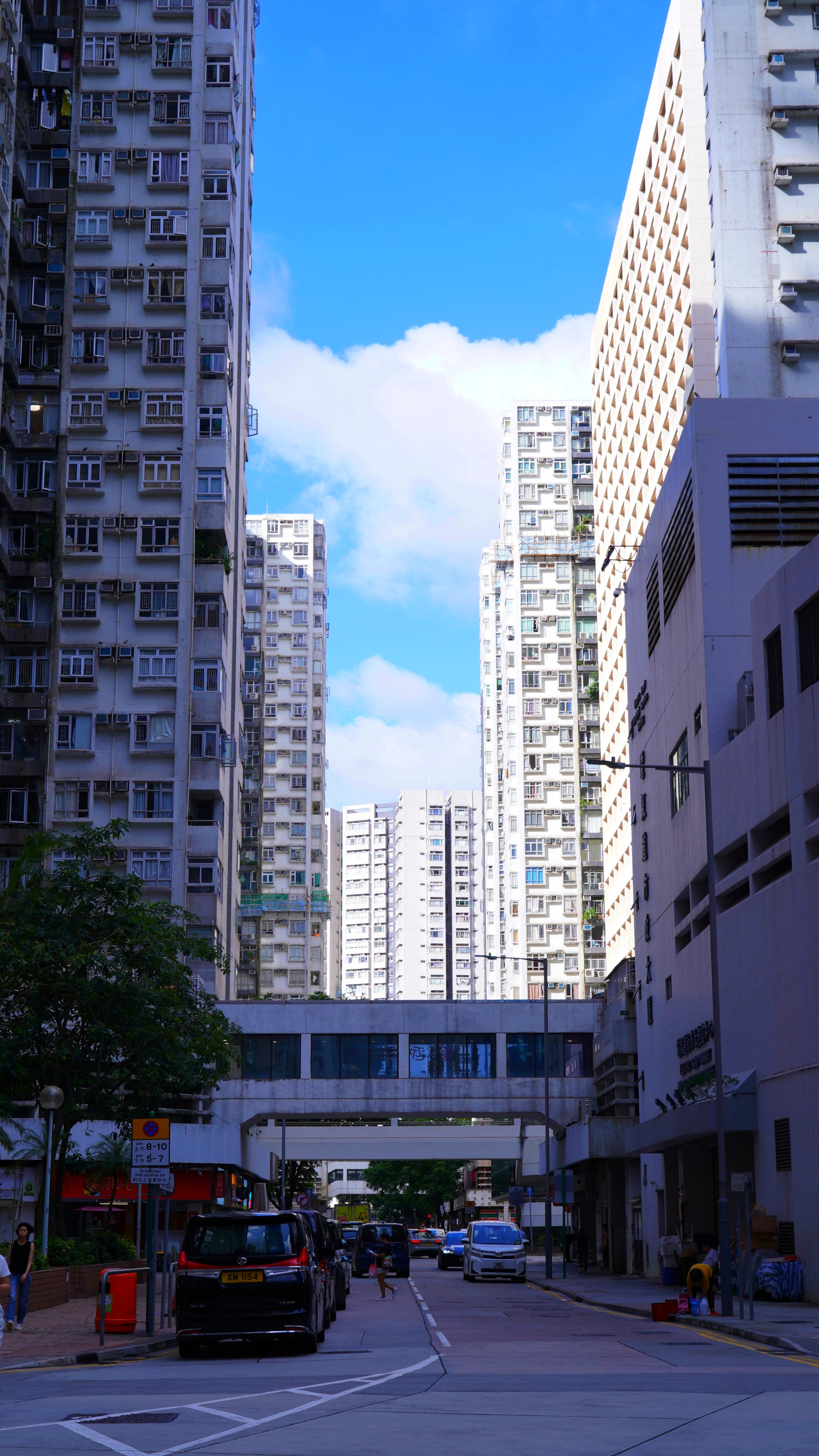 炮台山附近还挺适合住的，人比较少，感觉没那麽拥挤。香港随手拍 ​​​
