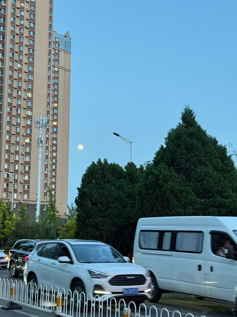 月是故乡圆 