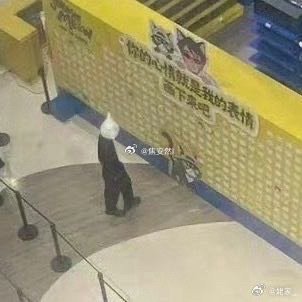 丁禹兮去商场看粉丝留言丁禹兮去商场看粉丝留言了 哈特软软的 