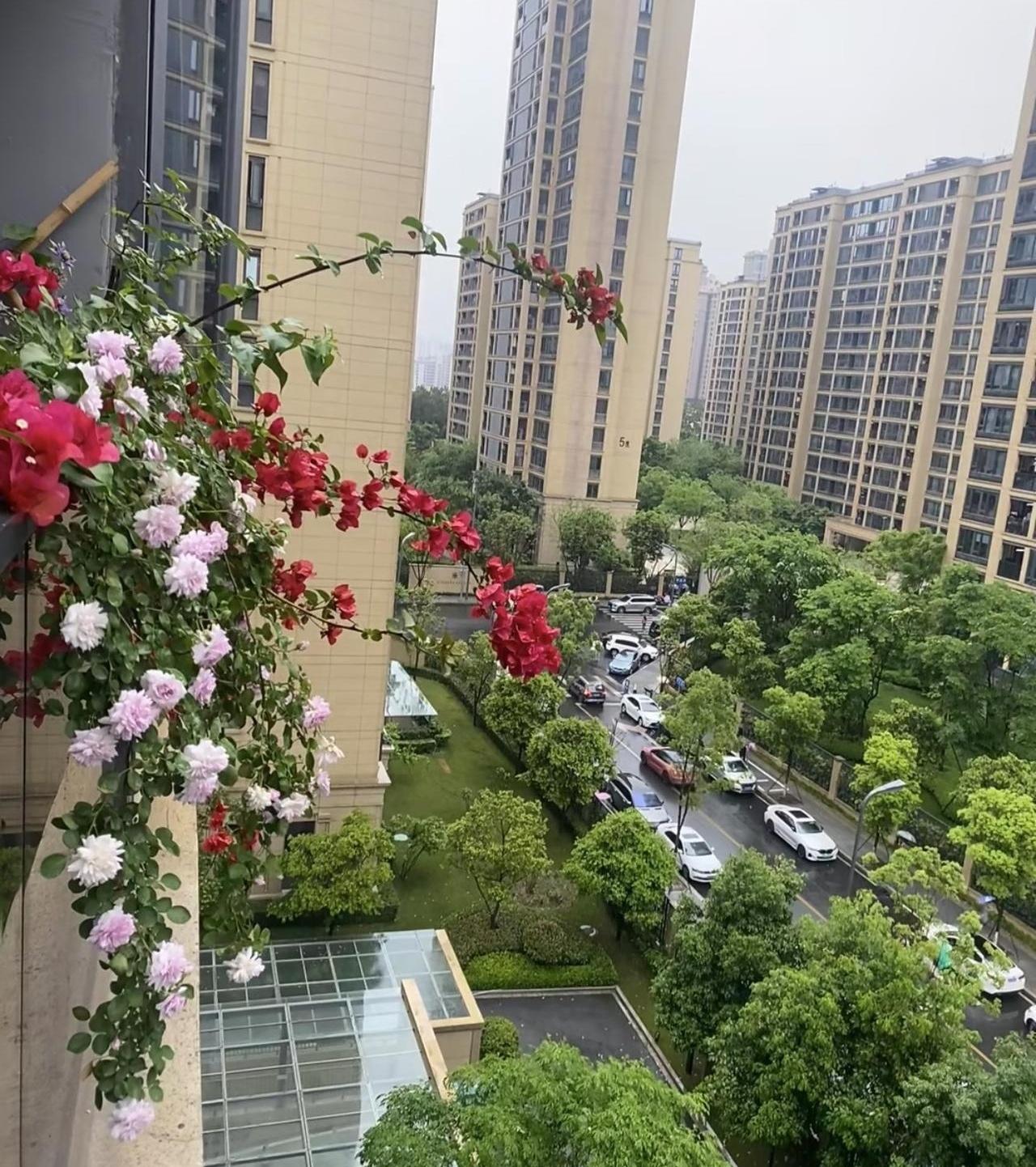 每月雷打不动给亲家母转3500带孙费，连给5年快20万，结果偶然听到6岁孙子的一