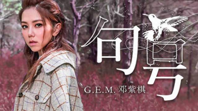 十二年合作终反目成仇！邓紫棋与蜂鸟音乐的爱恨情仇