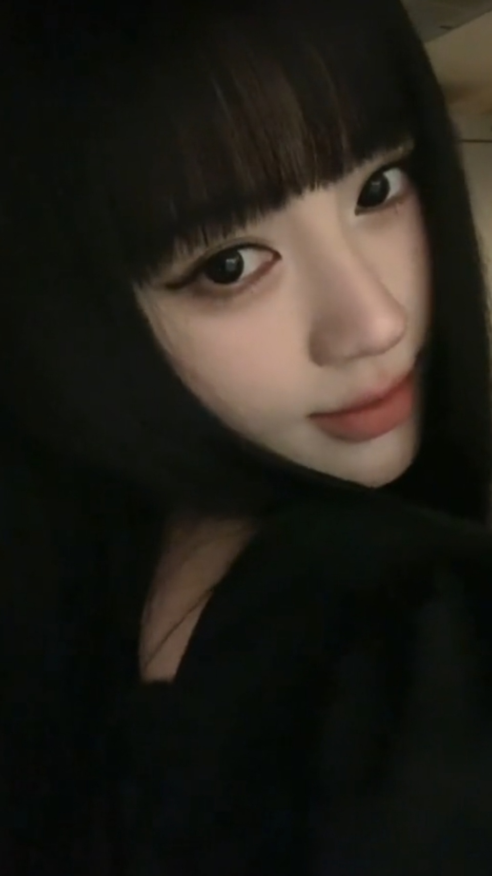jjy鞠婧祎苏绿夏  jjy鞠婧祎万花世界  你我相见亦是一场盛大的相逢.𝐌?