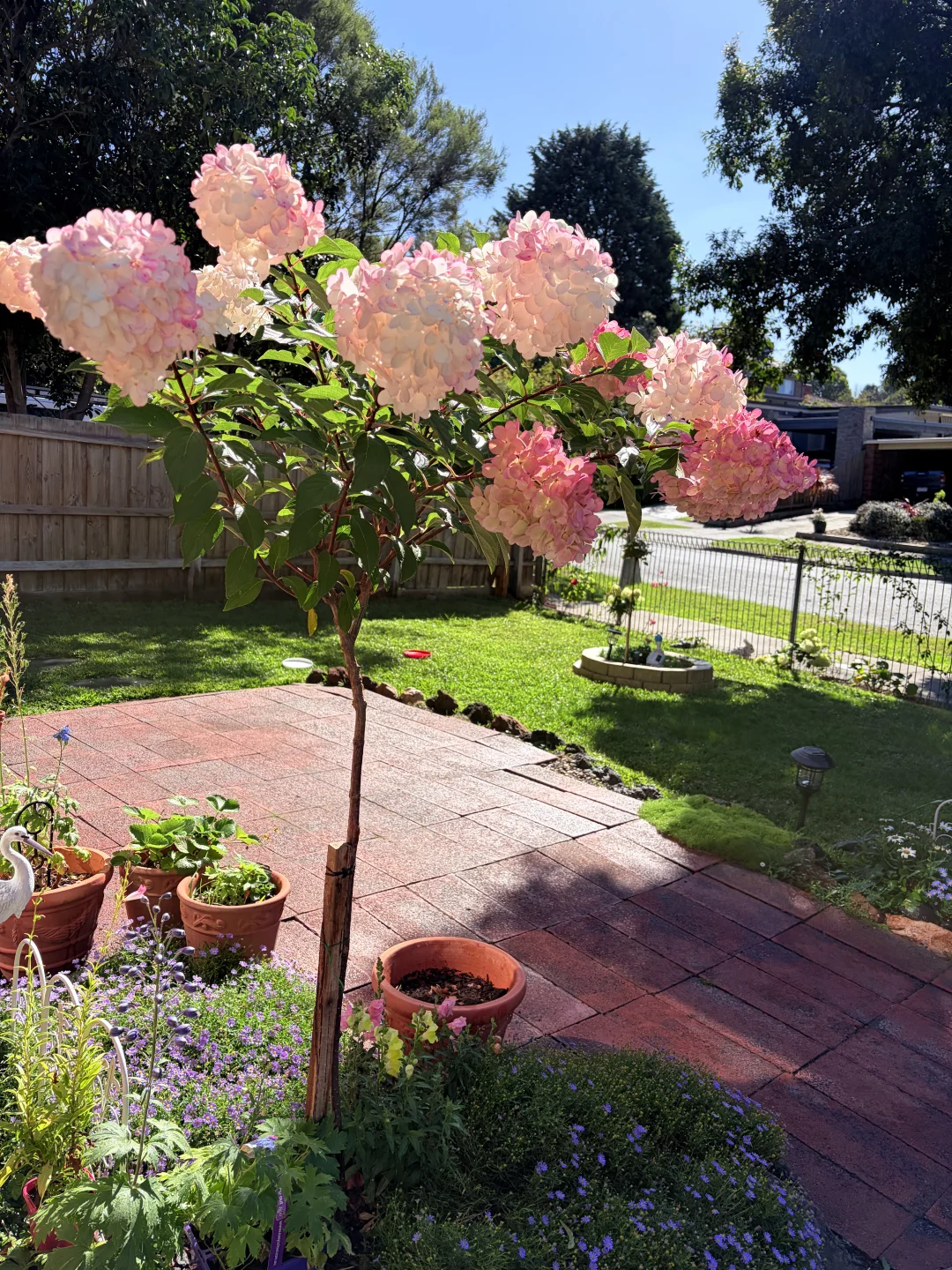 一年四季都有花看