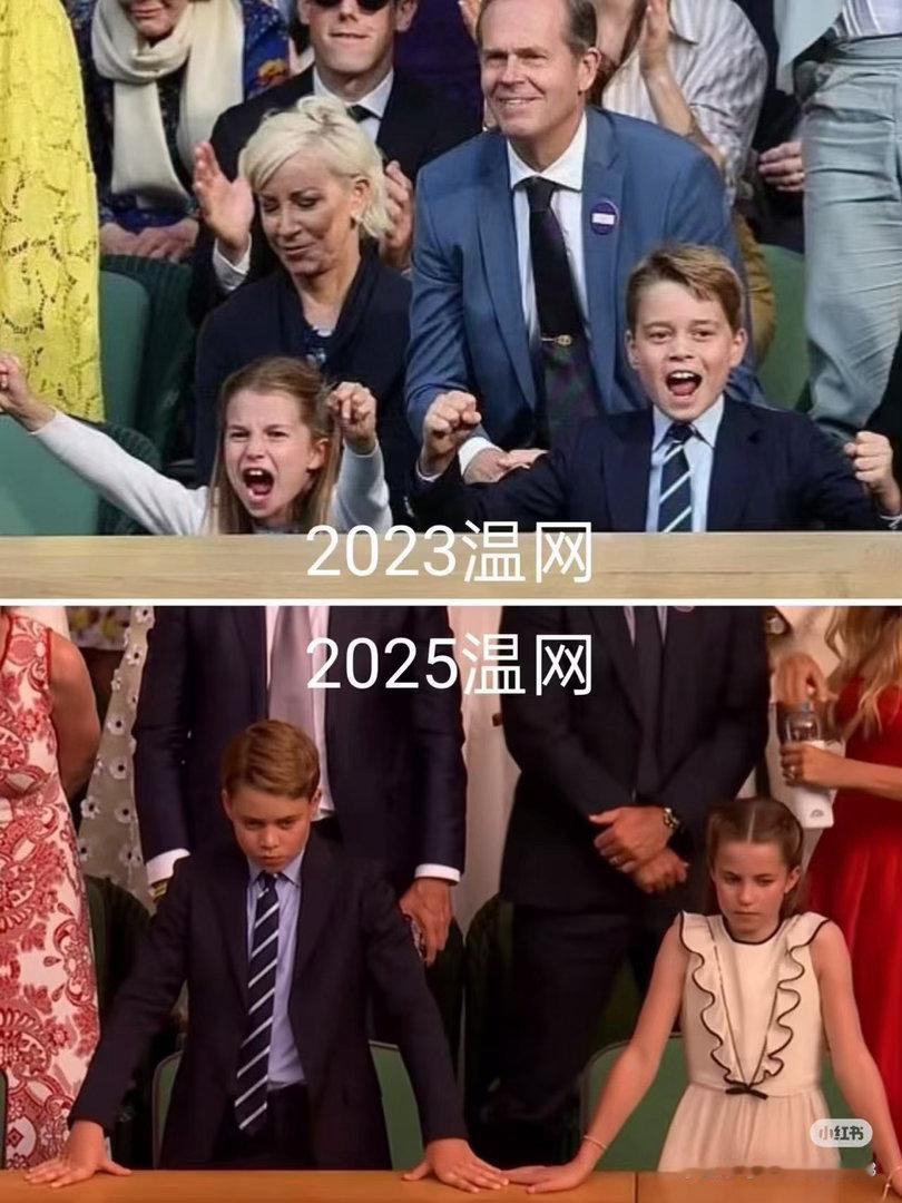 2026年温网总算结束了。