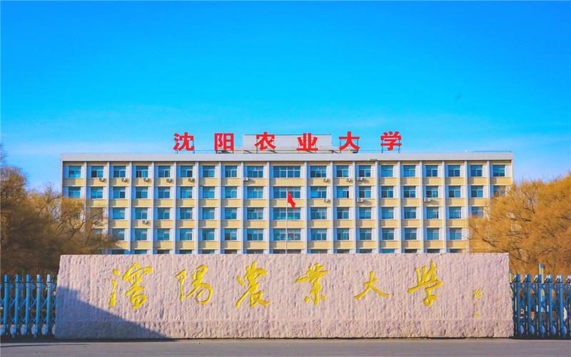 沈阳农业大学是985还是211？
沈阳农业大学既不是985工程高校，也不是211