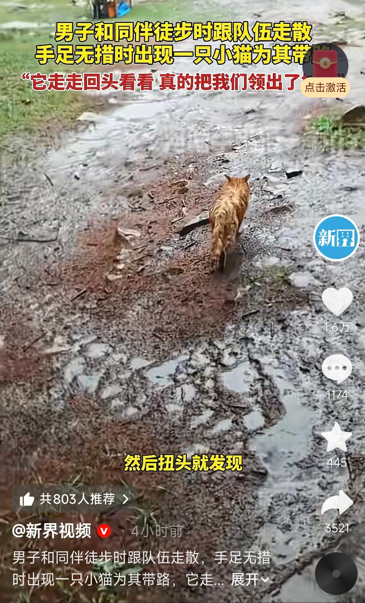 山西，一男子和同伴跟随队伍进山徒步，途中因体力原因渐渐掉队，与前方大部队失去了联