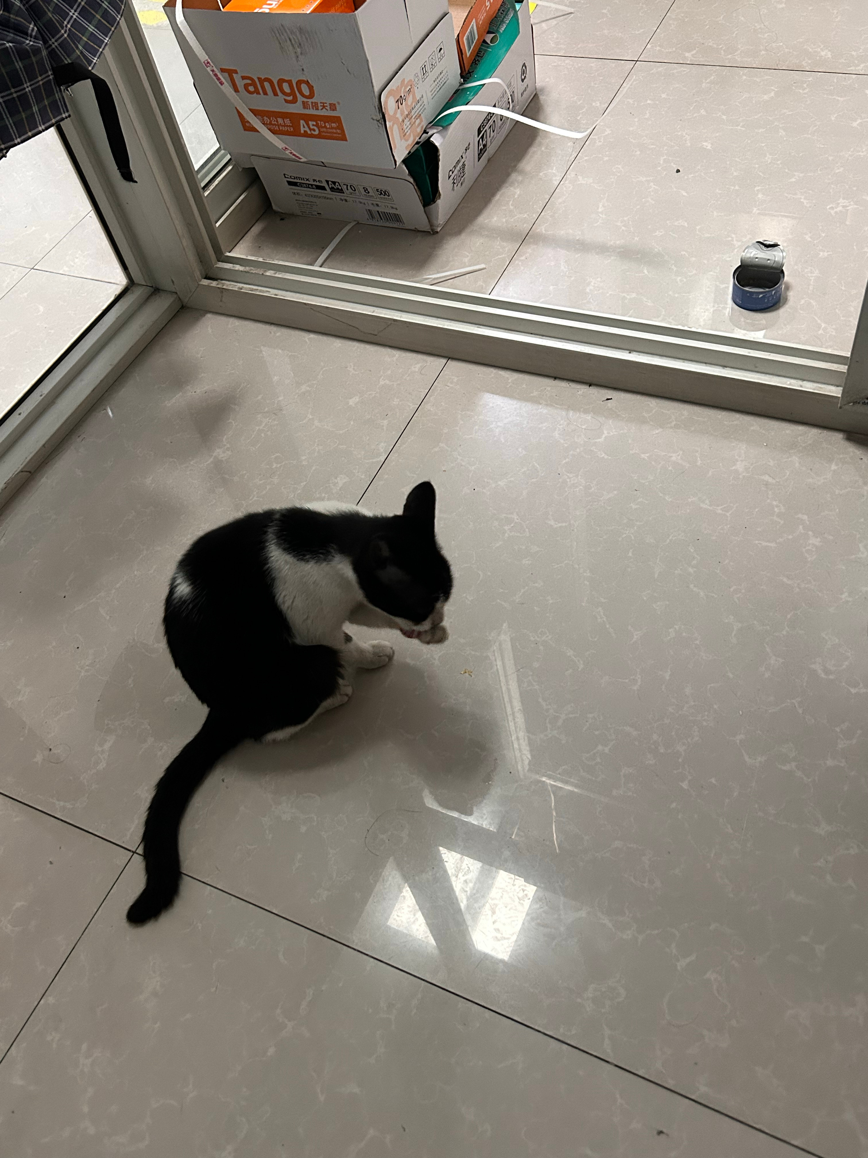 天天喵喵喵每天上班自己的饭还没吃就要先开你的 